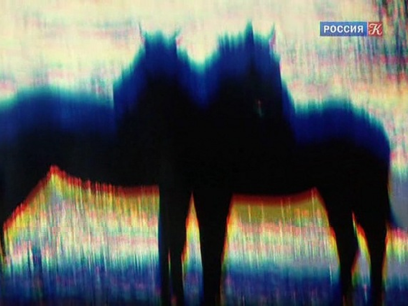 Foto 4 de Beg Inokhodtsa