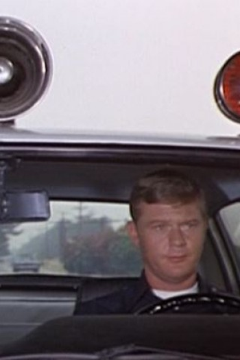 Poster de Episódio Harbor Division (1973)