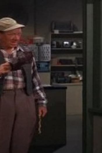 Poster de Episódio Suppose Andy Gets Sick (1967)