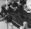Paparazzi