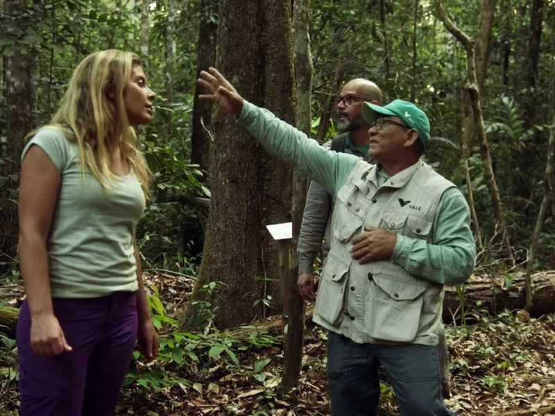 Foto 2 de Protetores da Floresta