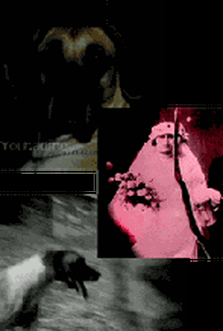 Poster 1 de Curta Tumitinhas (1998)