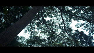 Trailer: EL SILENCIO DEL RIO Trailer