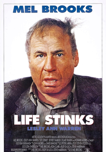 Que Droga de Vida (Life Stinks)