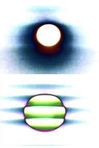 Poster 1 de Curta Affection Exonerate (2008)