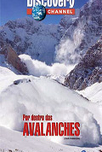 Por Dentro das Avalanches - Poster / Capa / Cartaz - Oficial 1