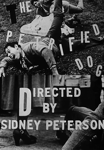 The Petrified Dog (The Petrified Dog)