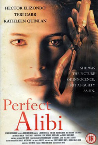 Poster 1 de Filme Um Álibi Perfeito (1995)