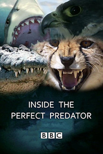 Por Dentro do Predador Perfeito - Poster / Capa / Cartaz - Oficial 1