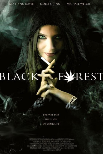 Poster de Filme João, Maria e a Bruxa da Floresta Negra (2013)