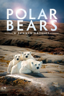 Ursos Polares: Uma Odisseia no Verão - Poster / Capa / Cartaz - Oficial 1