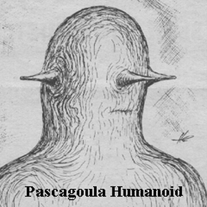 Foto de perfil de Bruno