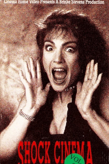  de Filme Shock Cinema Vol. 3 (1991)