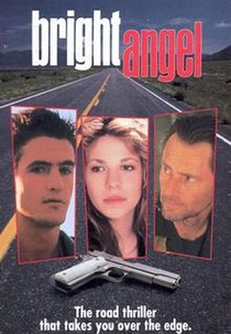 Estranhos Encontros (Bright Angel)