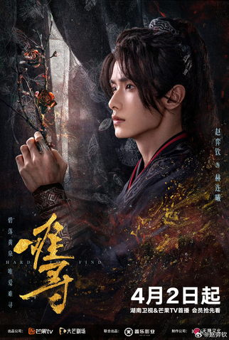 Poster 4 de Série Hard to Find (2024)