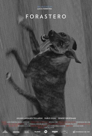 Poster 1 de Filme Forastero (2015)