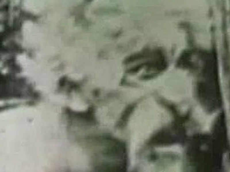 Foto 1 de El sartorio