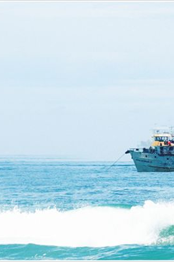  de Curta Intentio (2011)