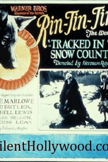  de Filme Perdidos nas Regiões Geladas (1925)