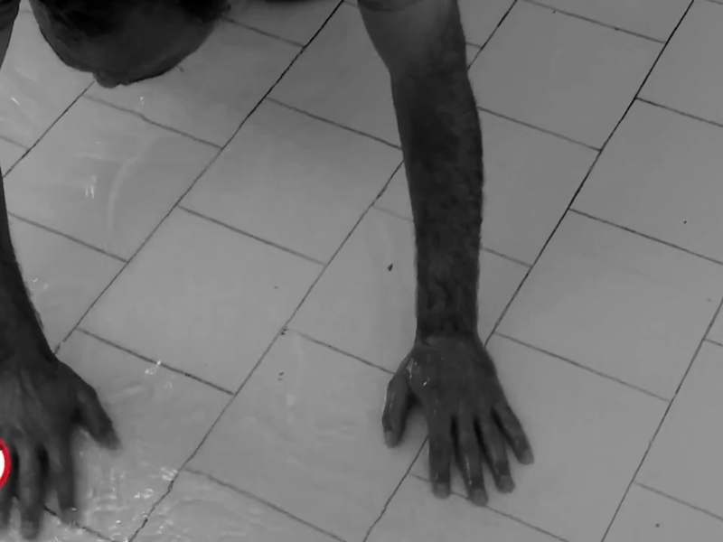 Foto 2 de The Fish and I