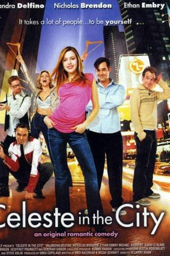 Poster de Filme Vencendo em Nova York (2004)