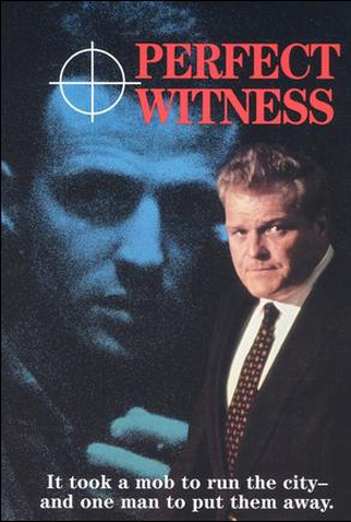 Poster 1 de Filme Testemunha Perfeita (1989)