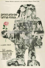 Procura-se uma Rosa (Procura-se uma Rosa)