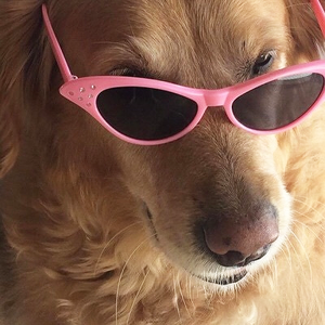 Foto de perfil de nat