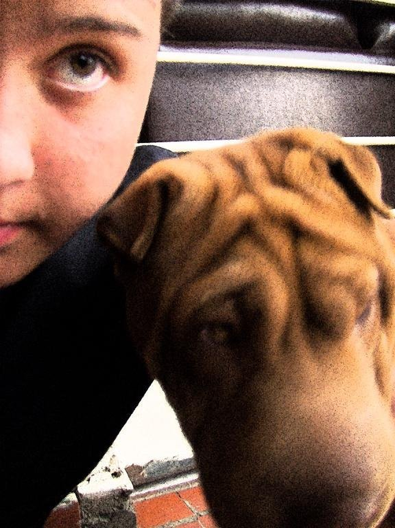 Jefferson Boscoa. - Foto 1