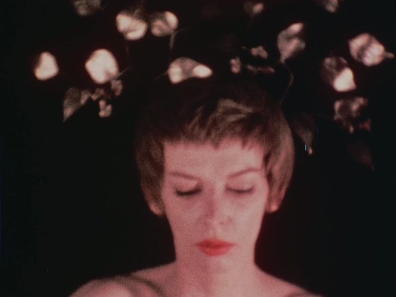 Foto 2 de The Wormwood Star