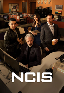 NCIS: Investigações Criminais (23ª Temporada) (NCIS - Naval Criminal Investigative Service (Season 23))