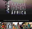 Brasil: DNA África