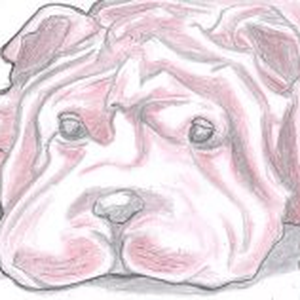 Foto de perfil de Giovani Medine