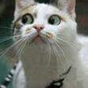 Foto de perfil de Lu