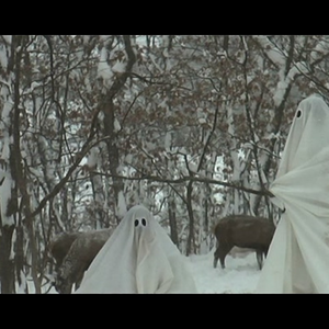 Foto de perfil de Waga