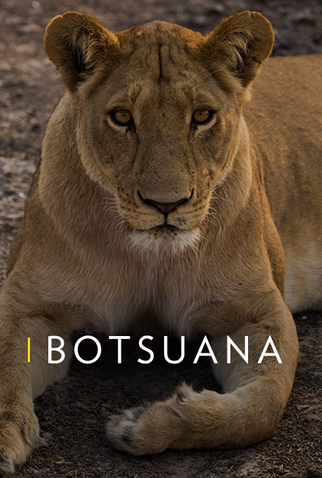 Poster 1 de Série Botsuana (2017)