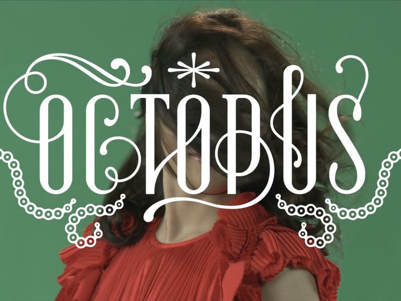 Foto 1 de Octopus