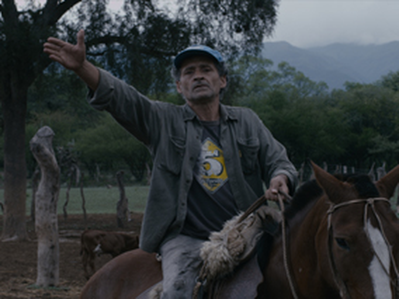 Foto 5 de Los Dueños