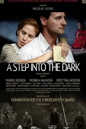 Poster de Filme A Step Into the Dark (2014)