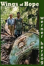 Juliane Cai na Selva (Julianes Sturz in den Dschungel)