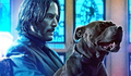 Artistas criam pôsteres pop para o lançamento de John Wick 3
