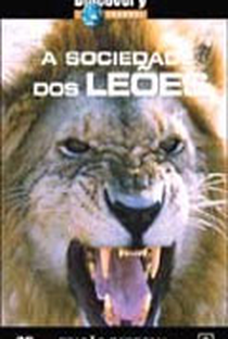 Discovery Channel - A Sociedade dos Leões - Poster / Capa / Cartaz - Oficial 1