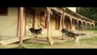 Wolf Town - Trailer