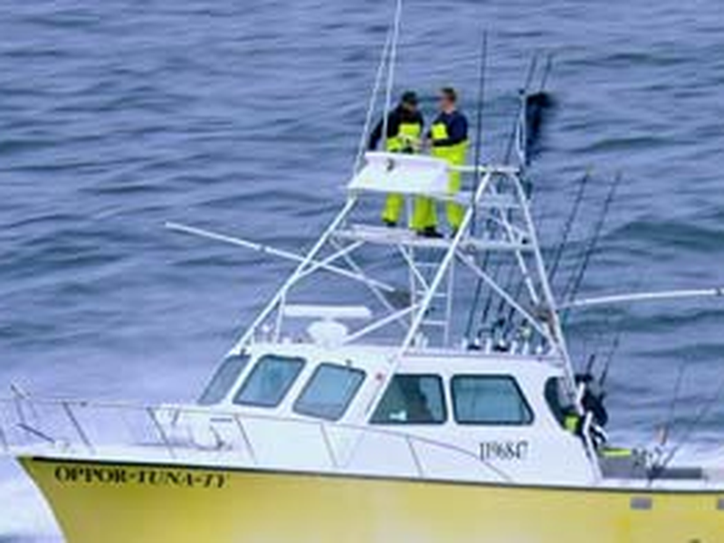 Foto 9 de Pesca Implacável