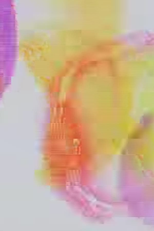 Rainbow Party on 70mm Film (Rainbow Party on 70mm Film)