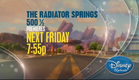 The Radiator Springs 500 ½