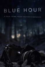 Blue Hour: The Disappearance of Nick Brandreth (Blue Hour)