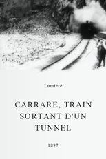 Carrare, train sortant d’un tunnel (Carrare, train sortant d’un tunnel)
