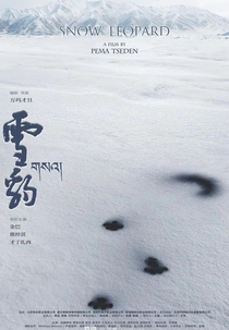 Leopardo das Neves (雪豹 | Xue bao)