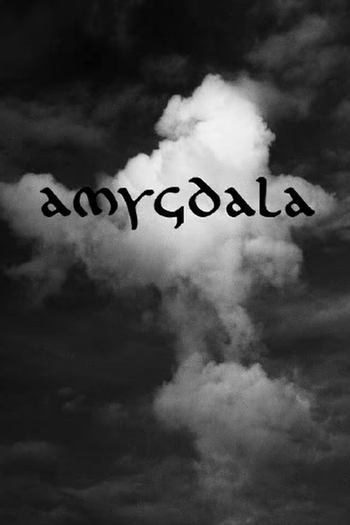 Poster de Curta Amygdala (2007)